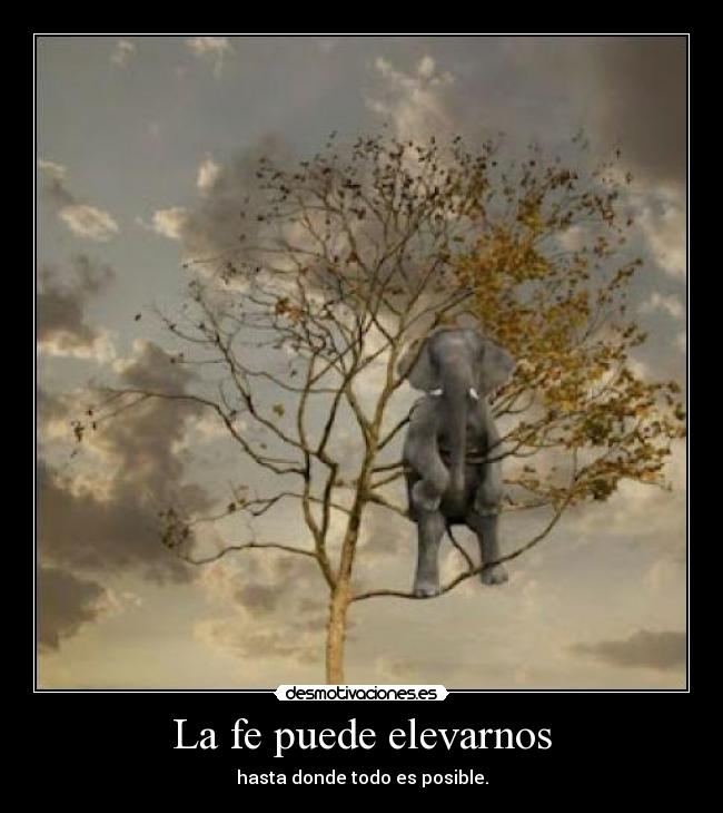 La fe puede elevarnos - hasta donde todo es posible.