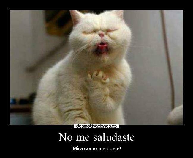 No me saludaste - Mira como me duele!