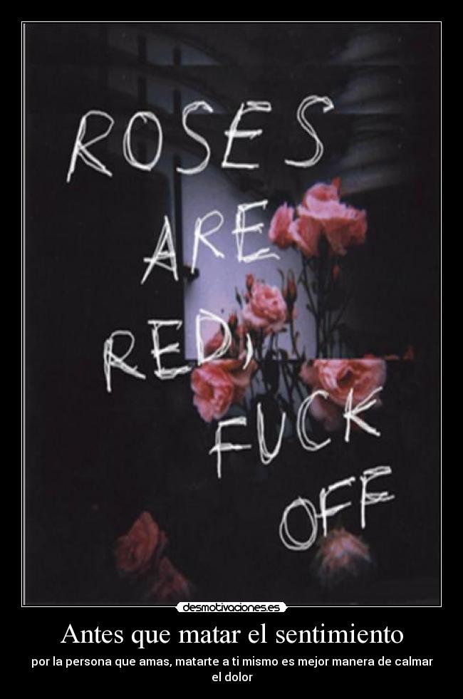Antes que matar el sentimiento - 