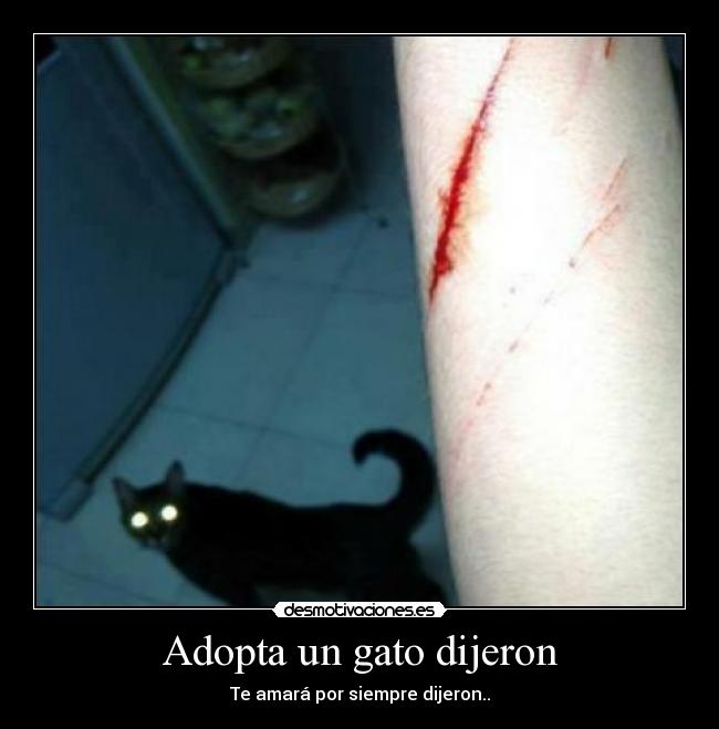 Adopta un gato dijeron -