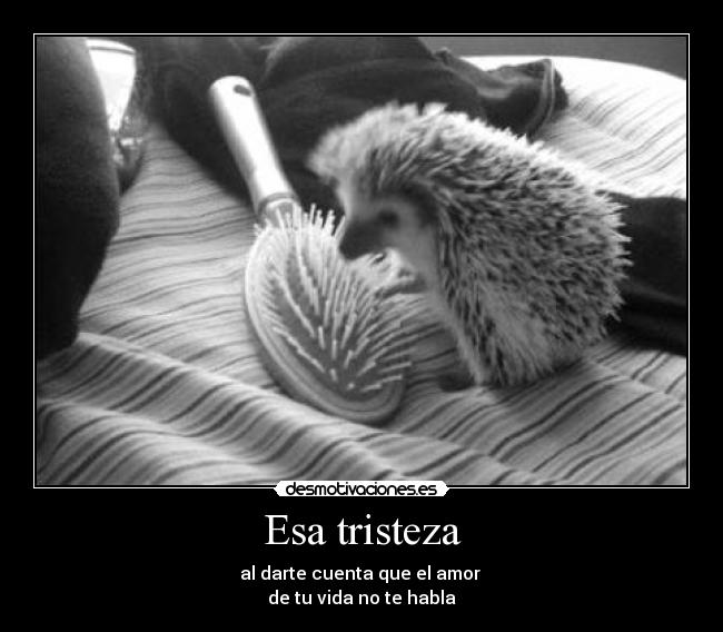 Esa tristeza -