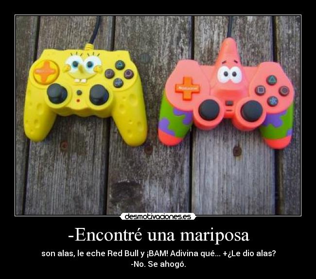 -Encontré una mariposa -