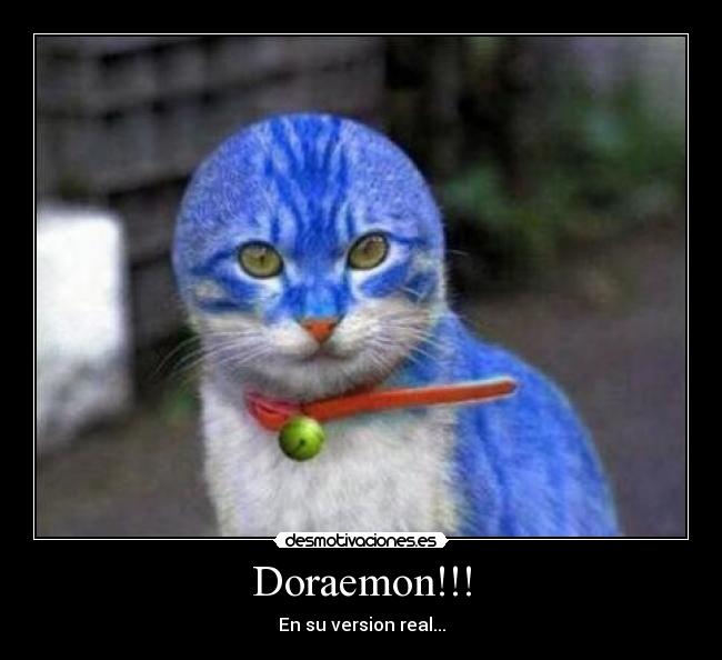 Doraemon!!! - En su version real...