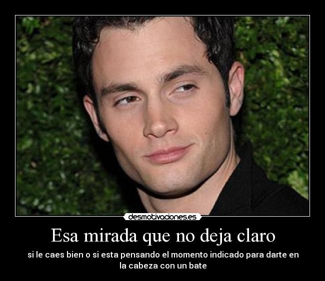Esa mirada que no deja claro - si le caes bien o si esta pensando el momento indicado para darte en
la cabeza con un bate