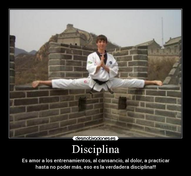Disciplina -