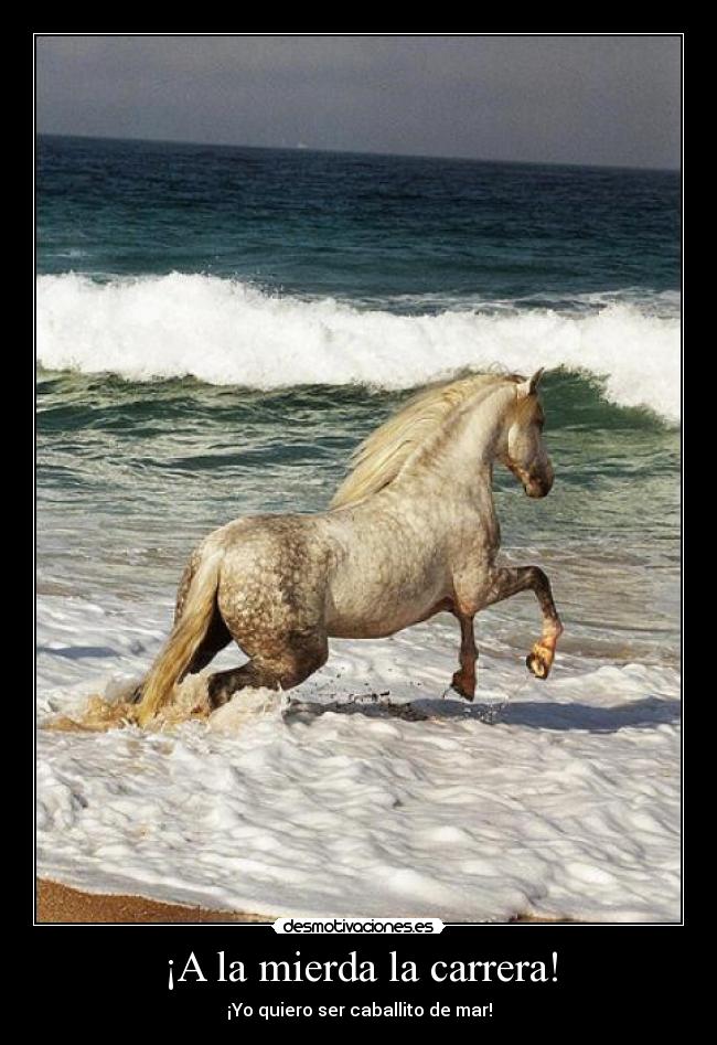 ¡A la mierda la carrera! - ¡Yo quiero ser caballito de mar!
