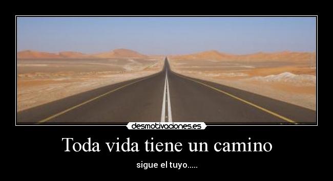 Toda vida tiene un camino -