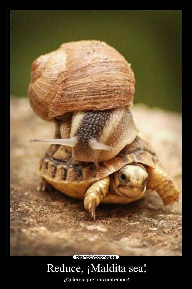 Reduce, ¡Maldita sea! - 
