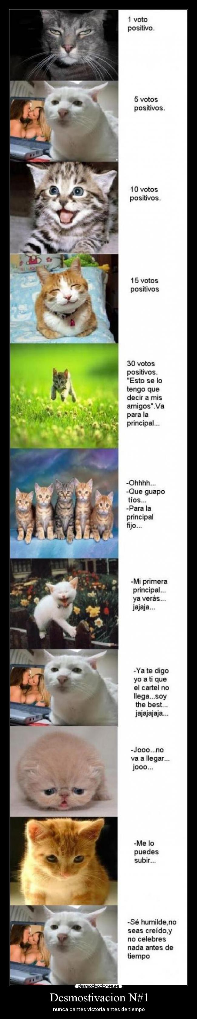 Desmostivacion N#1 -