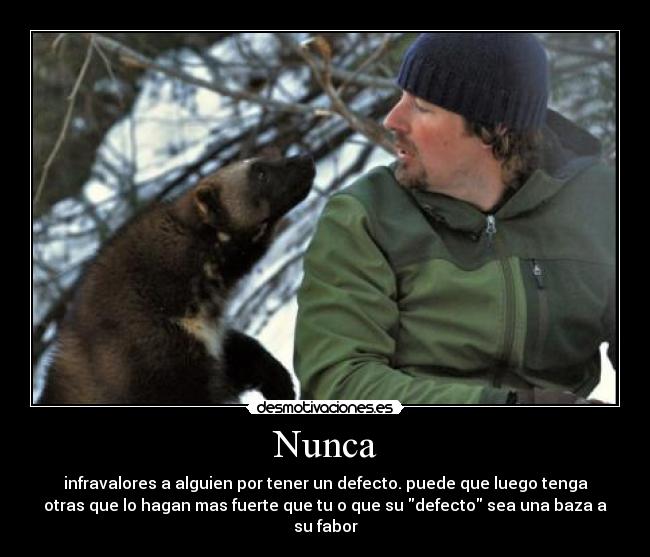 carteles gloton wolberine carcayu animal pequeno pero mas fuerte que lobos osos desmotivaciones