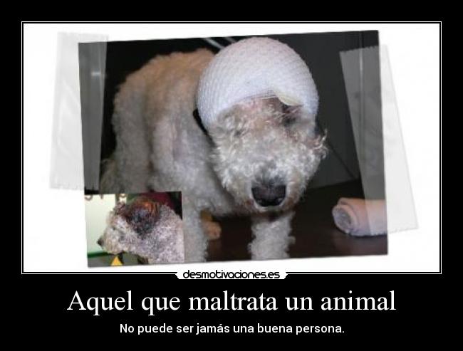 Aquel que maltrata un animal -