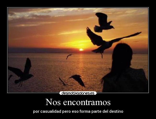 Nos encontramos - por casualidad pero eso forma parte del destino