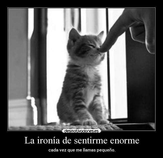 carteles jeje pequenio desmotivaciones