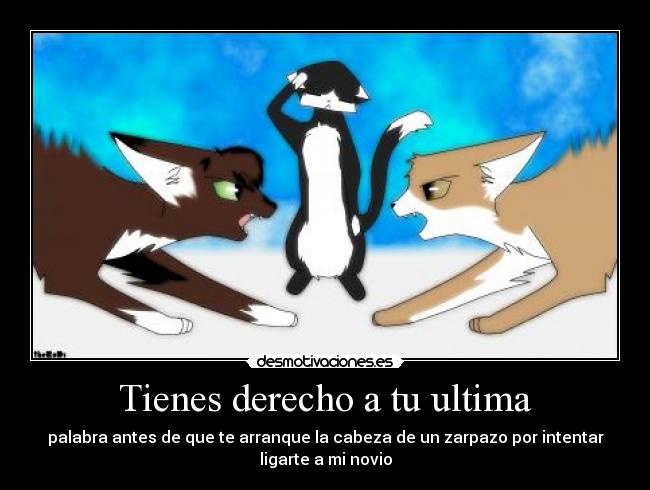 Tienes derecho a tu ultima - 