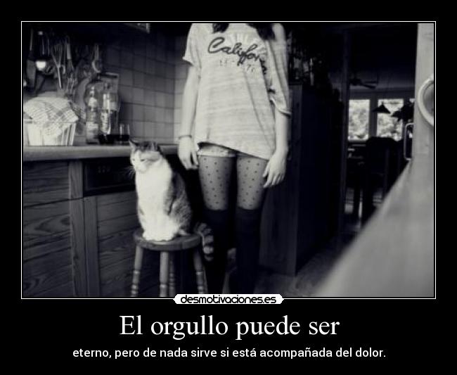 carteles dddddddddddddddddd desmotivaciones