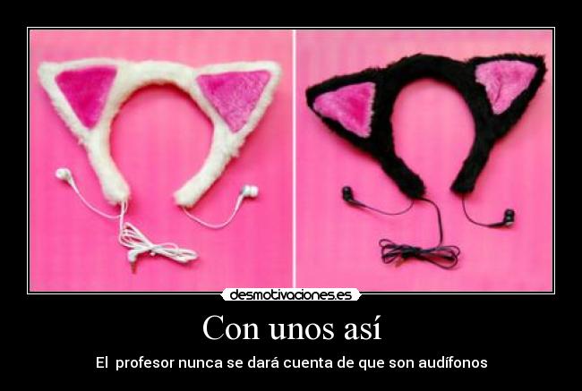 carteles orejas gato desmotivaciones