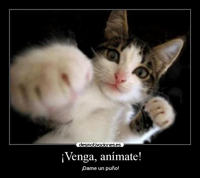 ¡Venga, anímate! - ¡Dame un puño!