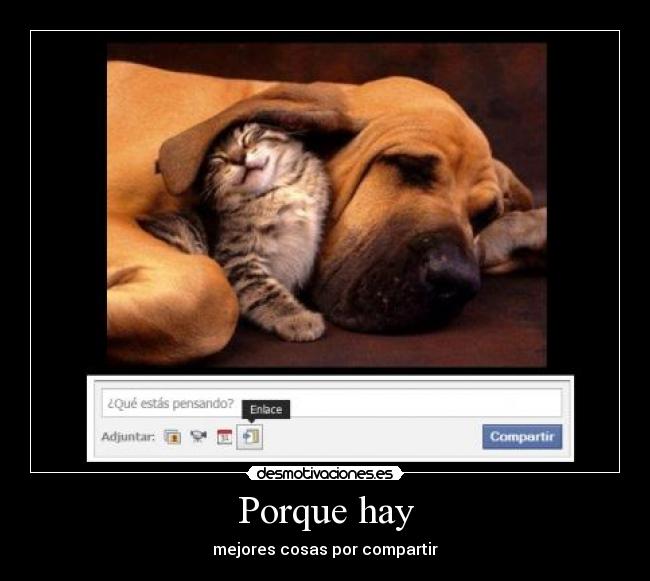 Porque hay - mejores cosas por compartir