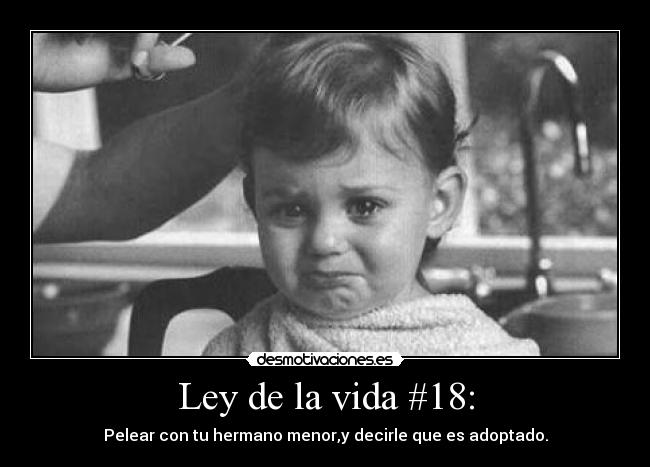 Ley de la vida #18: - Pelear con tu hermano menor,y decirle que es adoptado.
