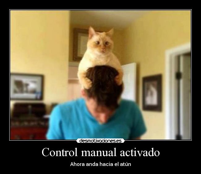carteles control manual activado desmotivaciones