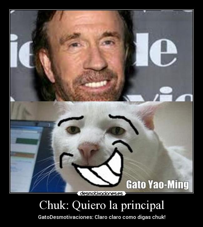 Chuk: Quiero la principal - GatoDesmotivaciones: Claro claro como digas chuk!
