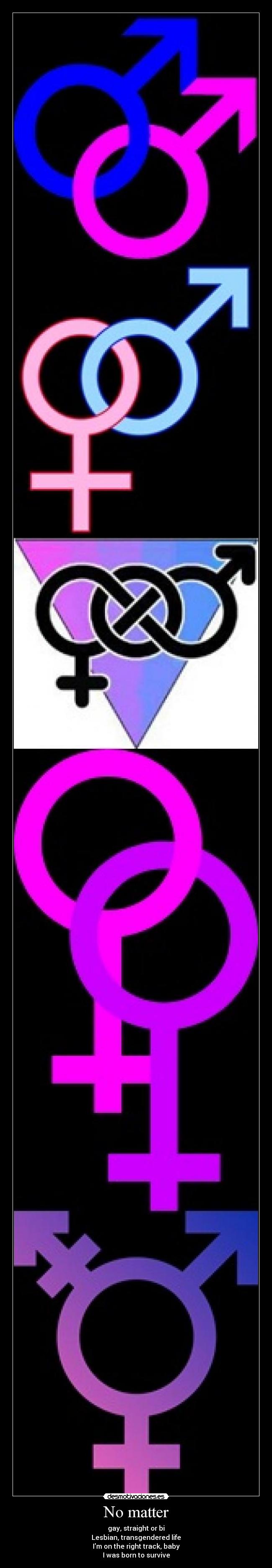 carteles gay lesbiana transexual bisexual hetero desmotivaciones