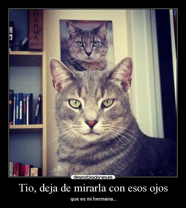 Tio, deja de mirarla con esos ojos - 