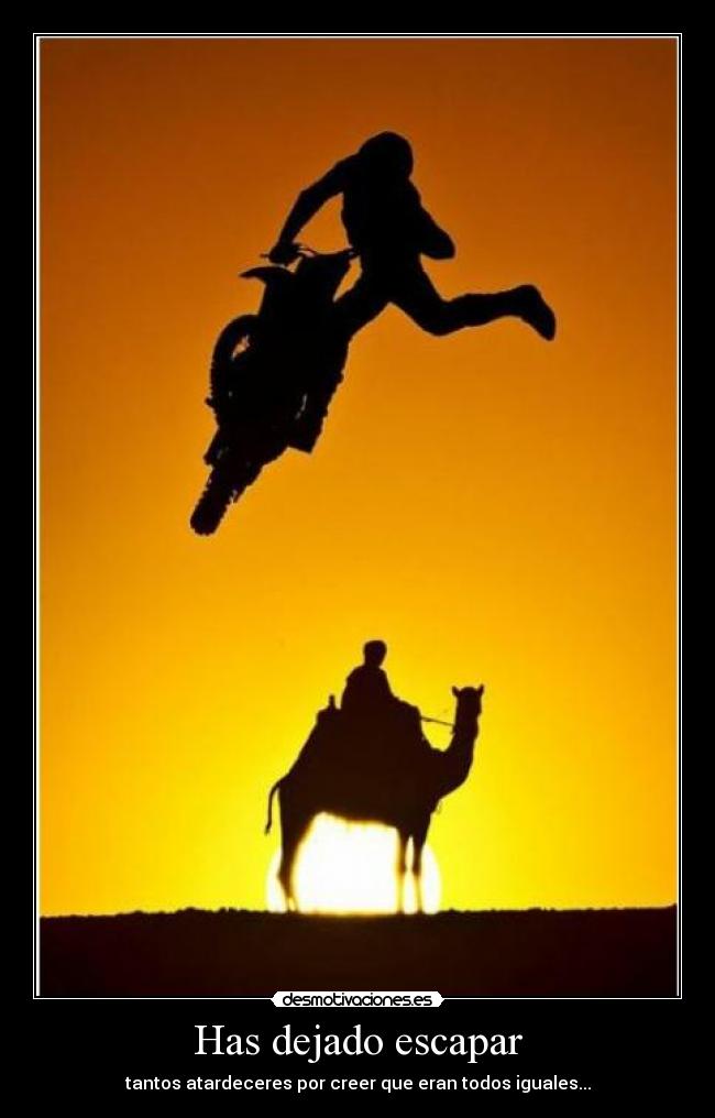 Has dejado escapar - tantos atardeceres por creer que eran todos iguales...