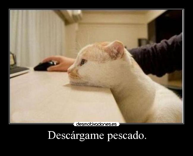 Descárgame pescado. - 