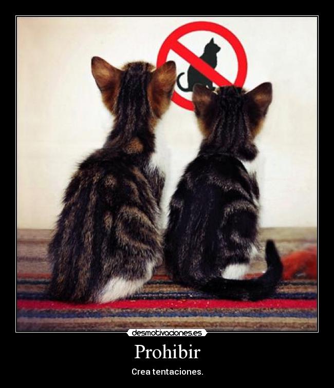 carteles prohibido desmotivaciones