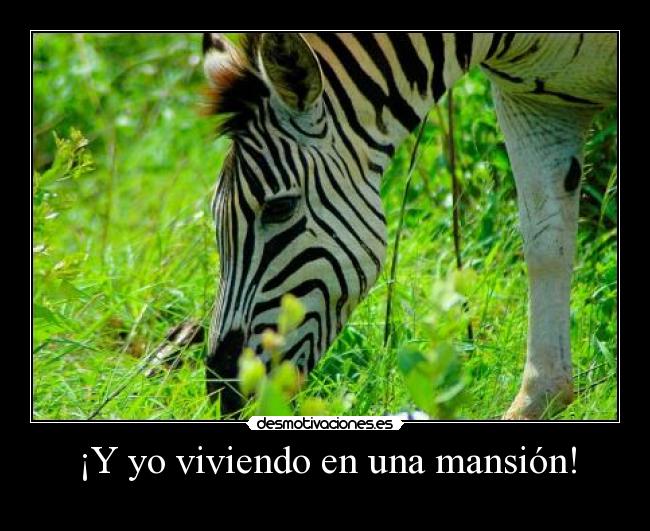 ¡Y yo viviendo en una mansión! -