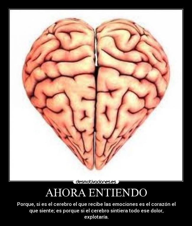 AHORA ENTIENDO - Porque, si es el cerebro el que recibe las emociones es el corazón el
que siente; es porque si el cerebro sintiera todo ese dolor,
explotaría.