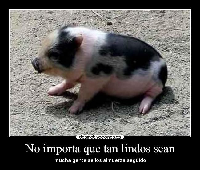 No importa que tan lindos sean -