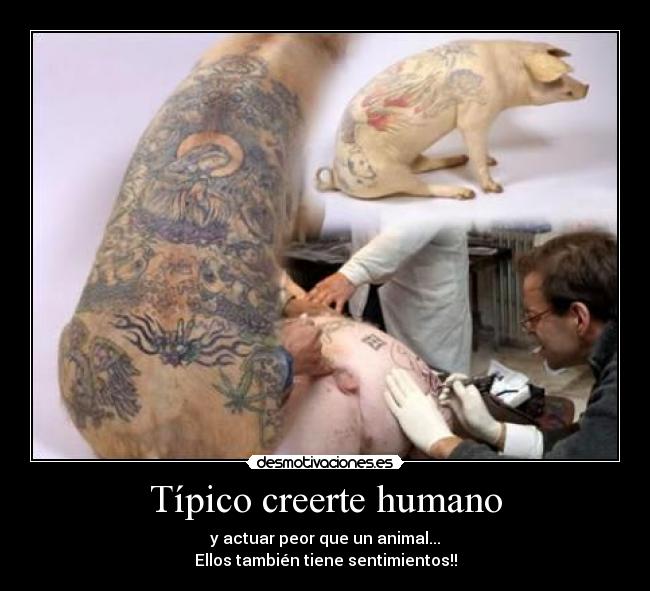 Típico creerte humano -