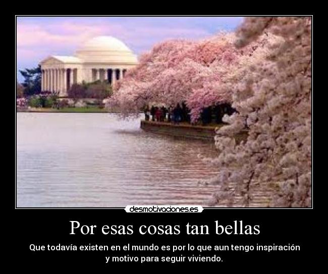 Por esas cosas tan bellas - Que todavía existen en el mundo es por lo que aun tengo inspiración
y motivo para seguir viviendo.