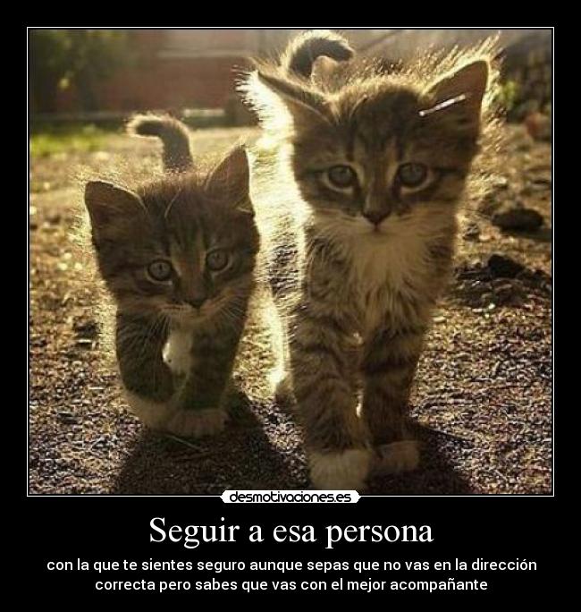 Seguir a esa persona -