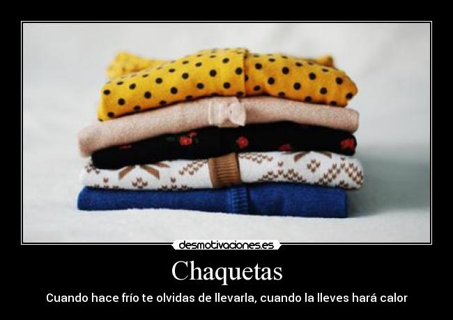 Chaquetas - 