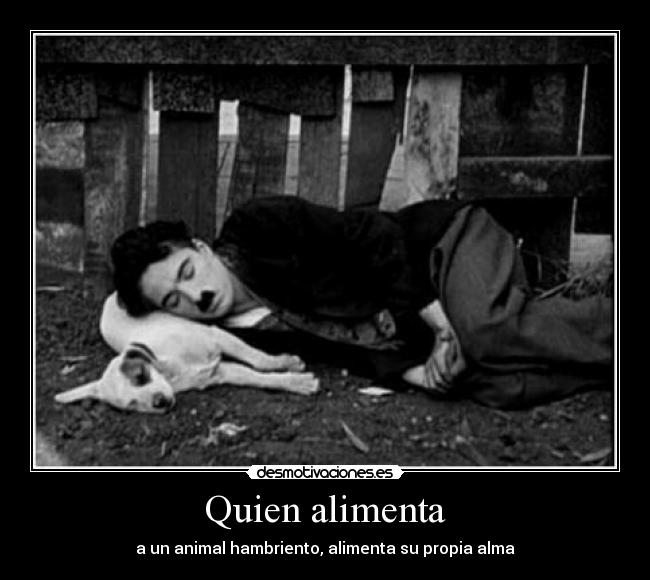 Quien alimenta - 