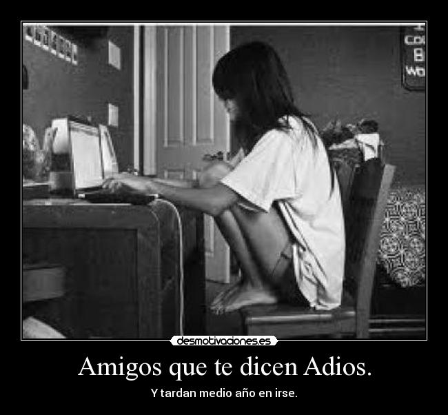 carteles amigos chatear hablar amigos adios irse medio ano desmotivaciones