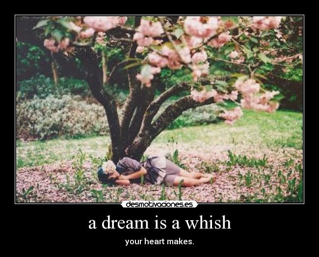 a dream is a whish - 