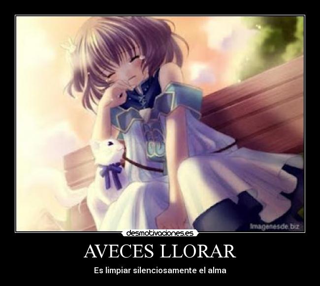 AVECES LLORAR -