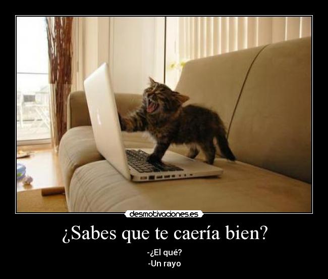 ¿Sabes que te caería bien? - -¿El qué?
-Un rayo