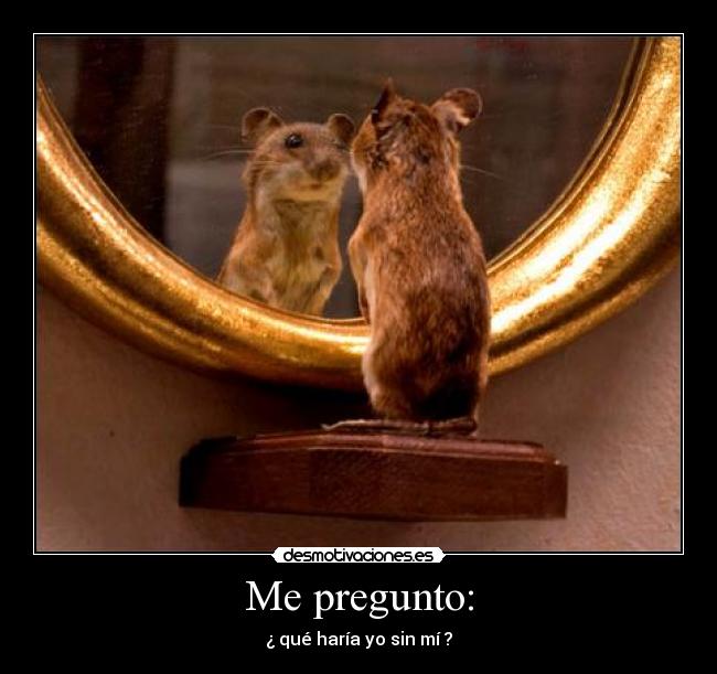 carteles que haria sin mi desmotivaciones