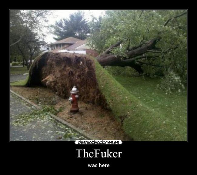 carteles thefuada thefuoos thefucker thefuker desmotivaciones