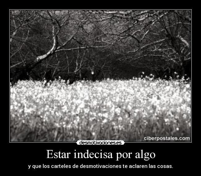 Estar indecisa por algo -