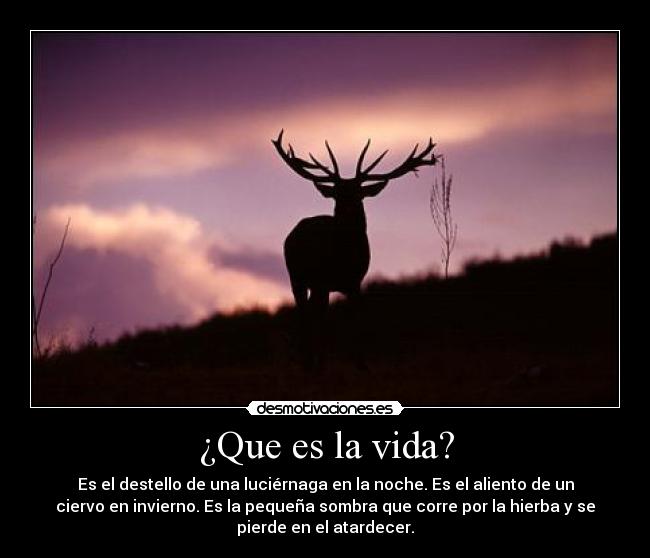 ¿Que es la vida? - Es el destello de una luciérnaga en la noche. Es el aliento de un
ciervo en invierno. Es la pequeña sombra que corre por la hierba y se
pierde en el atardecer.