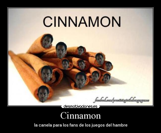 Cinnamon - la canela para los fans de los juegos del hambre