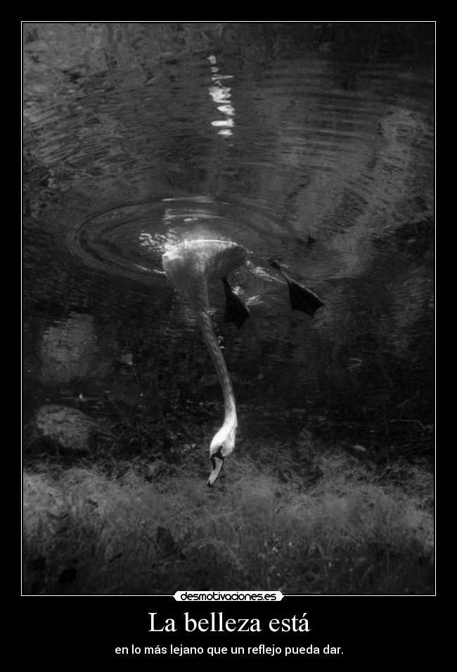 La belleza está - en lo más lejano que un reflejo pueda dar.