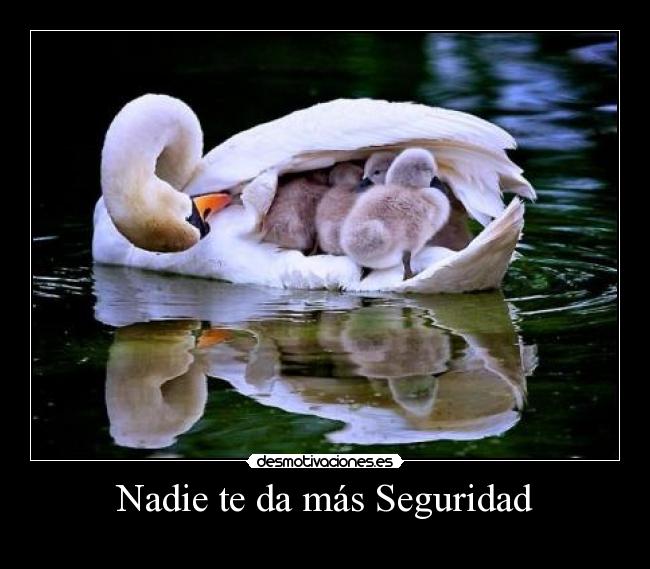 Nadie te da más Seguridad -