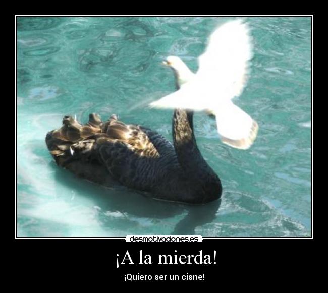¡A la mierda! - ¡Quiero ser un cisne!